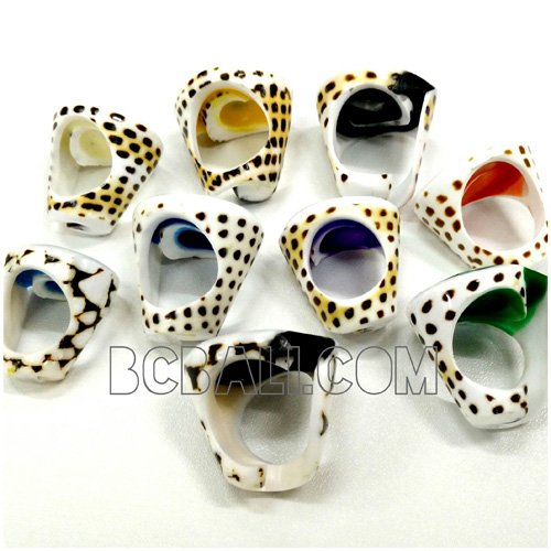 shells nautilus finger rings organic bali - shells nautilus finger ...