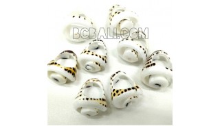 tiger shells organic rings ethnic