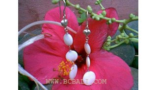 Silver Earrings Ocean Seashell 