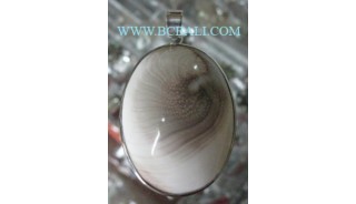 White Shiva Shell Pendant Silver