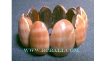 Natural Sea Shell Bali