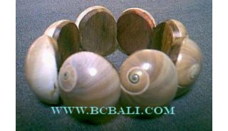 Natural Shells Bracelets