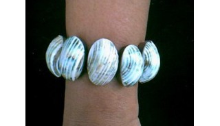 Sea Shell Dyed Bracelets