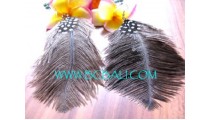 Earrings Feather Unique Design