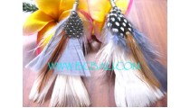 New Feather Earrings