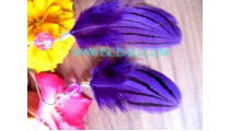 Painted Feather Earring