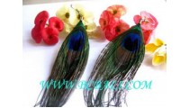 Peacock Feather Earrings