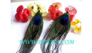 Peacock Feather Earrings