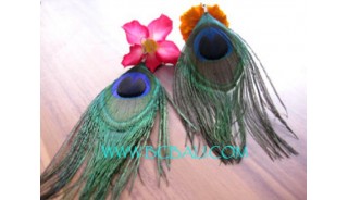 Peacock Feather Earrings New