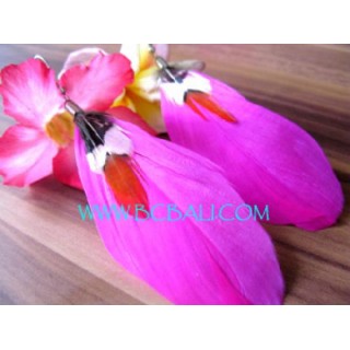 Plumage Earring
