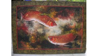Arowana Fish Gallery