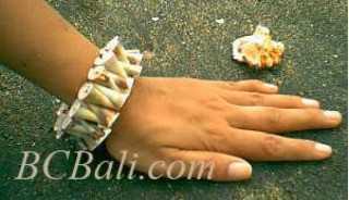 Full Shell Bracelets