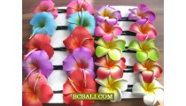 Hair Clip Accessories Fashion Tropical Flowers 